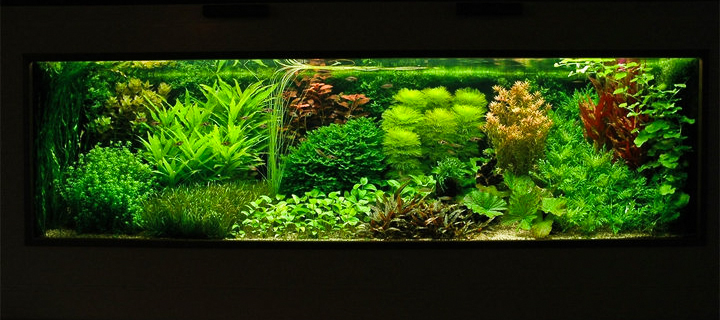 36237_443801371209_64363006209_6314943_7773411_n-2 (1)