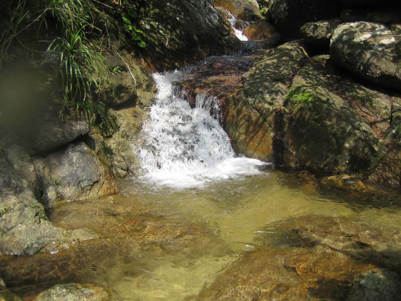 Stiphodon-habitat-Okinawa-Japan-1