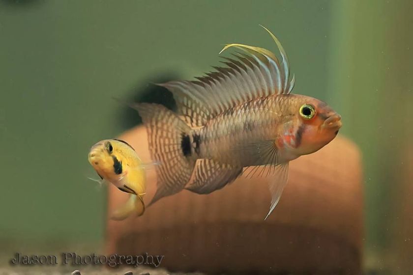 8beb62a6984ddb3a2ff9bd60d72a5ce0