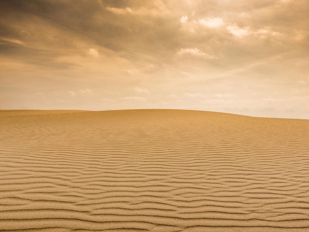 cover-r4x3w1000-5e46cb3e77dcc-landscape-768423-1920