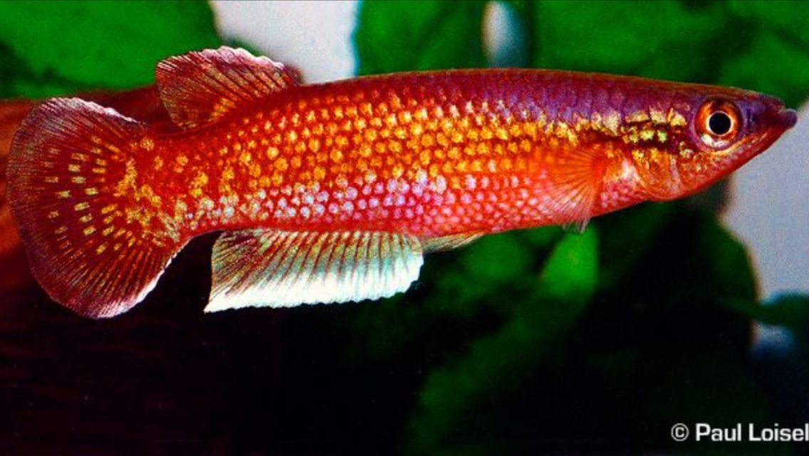 0be30e7a46332322629f2252d5efd743