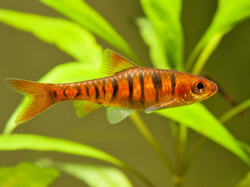 9438706295_fc0b8927c0_b